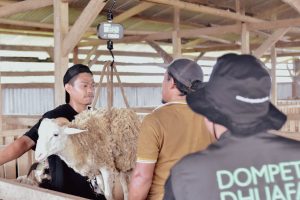 Read more about the article DD Farm Lakukan Quality Control (QC) Hewan Kurban Cegah Penularan PMK
