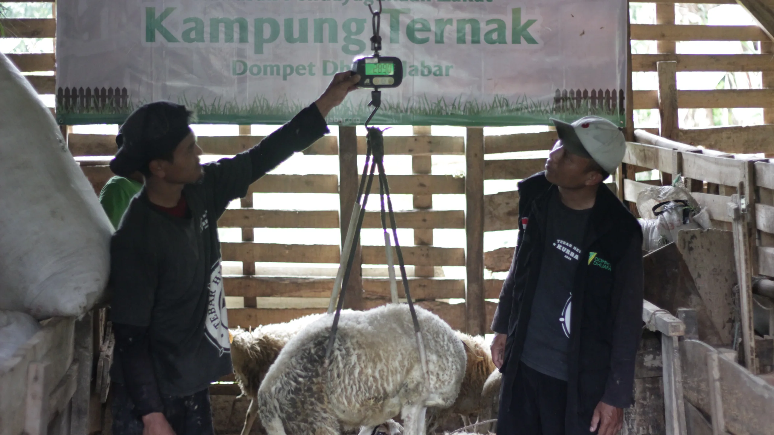 Hukum Kurban Online, Praktis Dilakukan dan Tetap Aman Sesuai Syariat